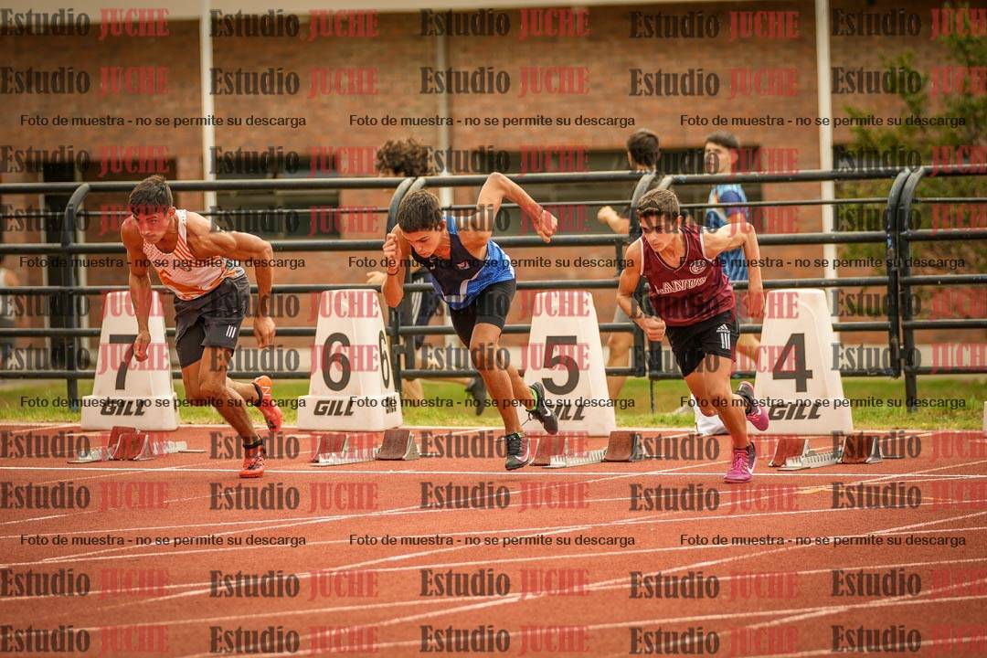 Fotos de los 110 m con vallas de varones