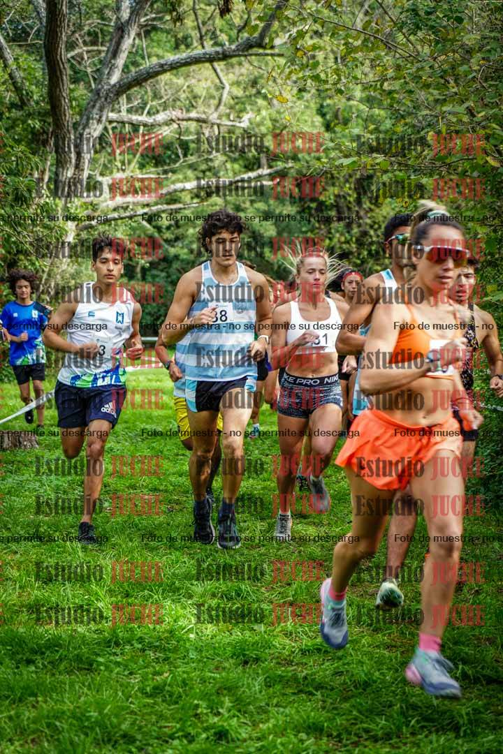 Fotos en el circuito