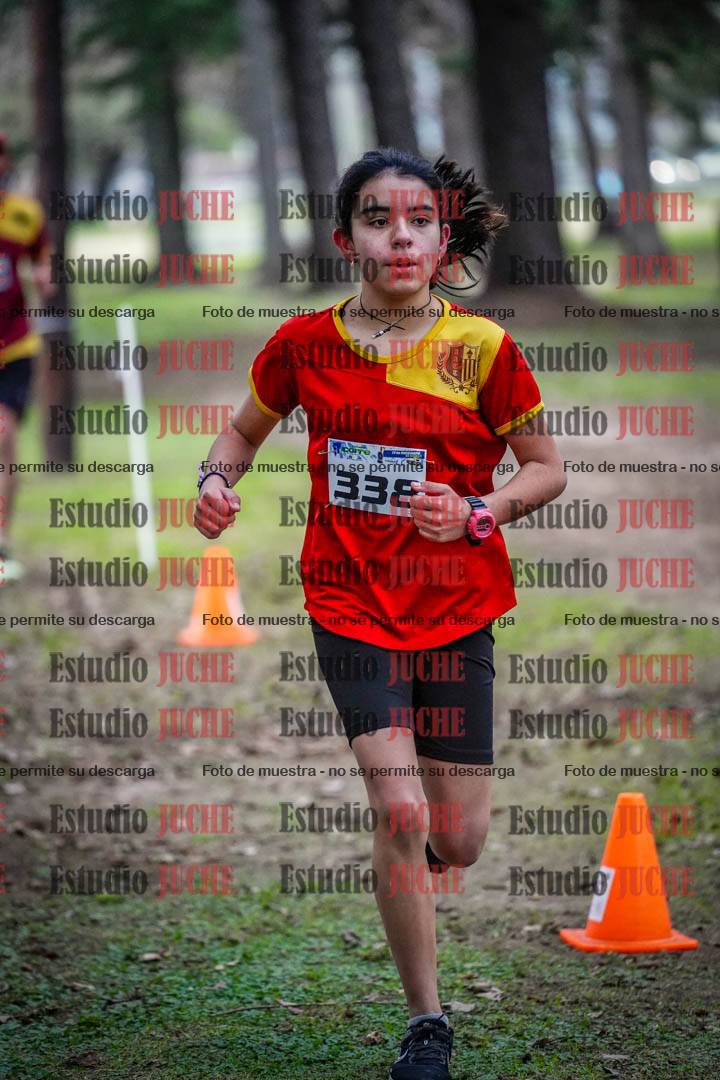 Fotos en el circuito