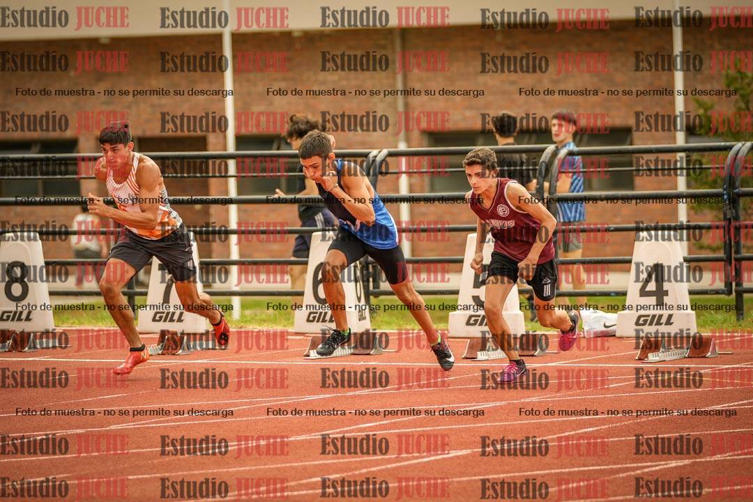 Fotos de los 110 m con vallas de varones