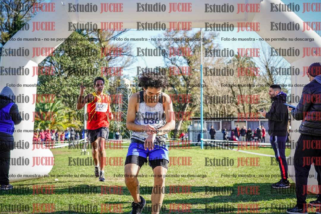 Fotos de la llegada del cross de 4000 m - varones
