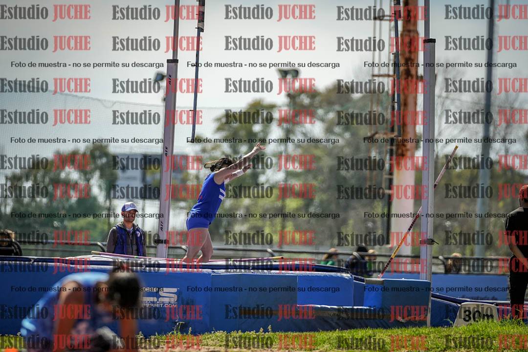Fotos del salto con garrocha de mujeres y varones