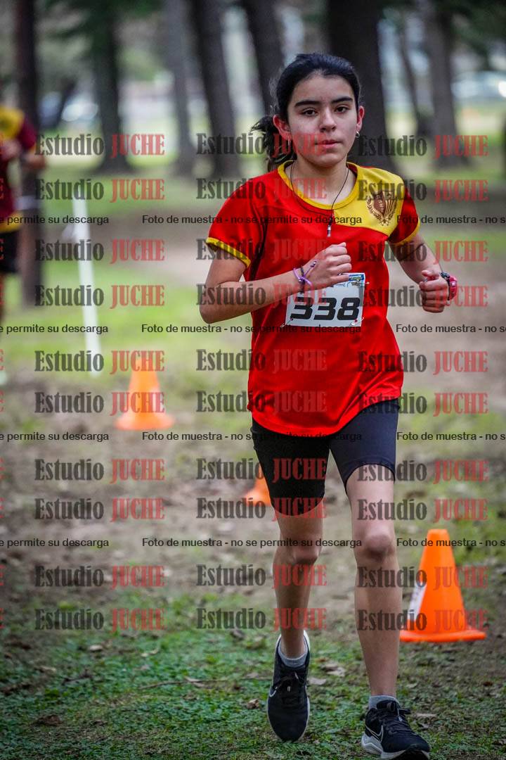 Fotos en el circuito