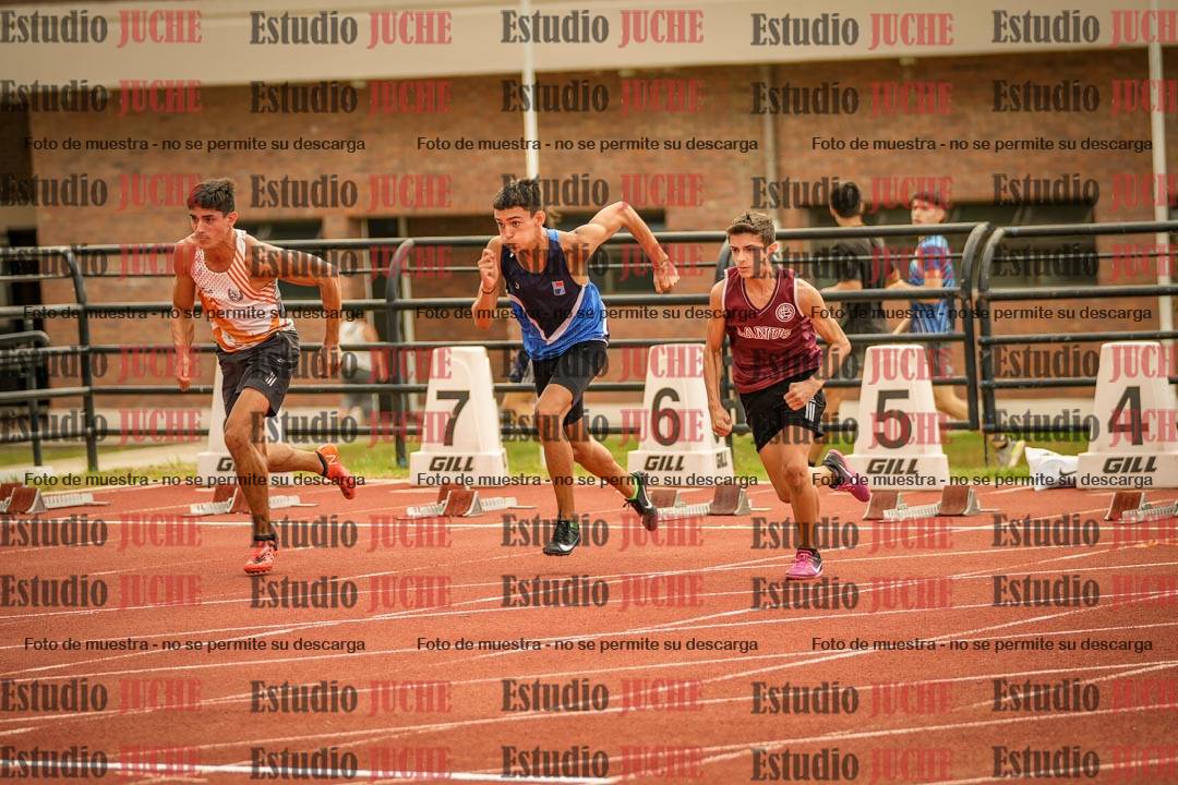Fotos de los 110 m con vallas de varones