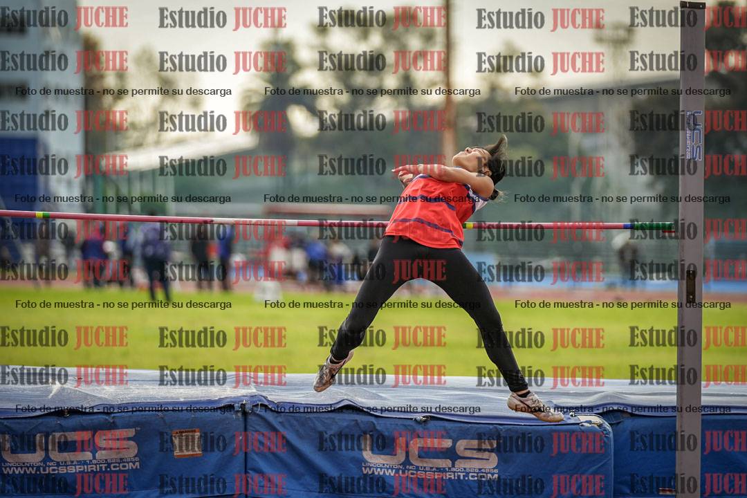 Fotos del salto en alto de mujeres