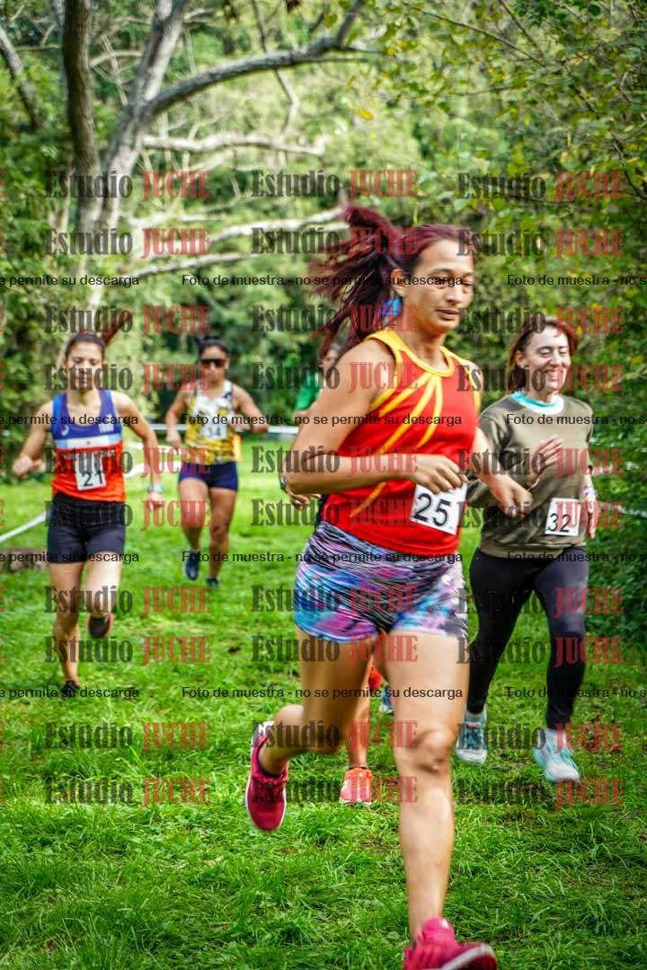 Fotos en el circuito