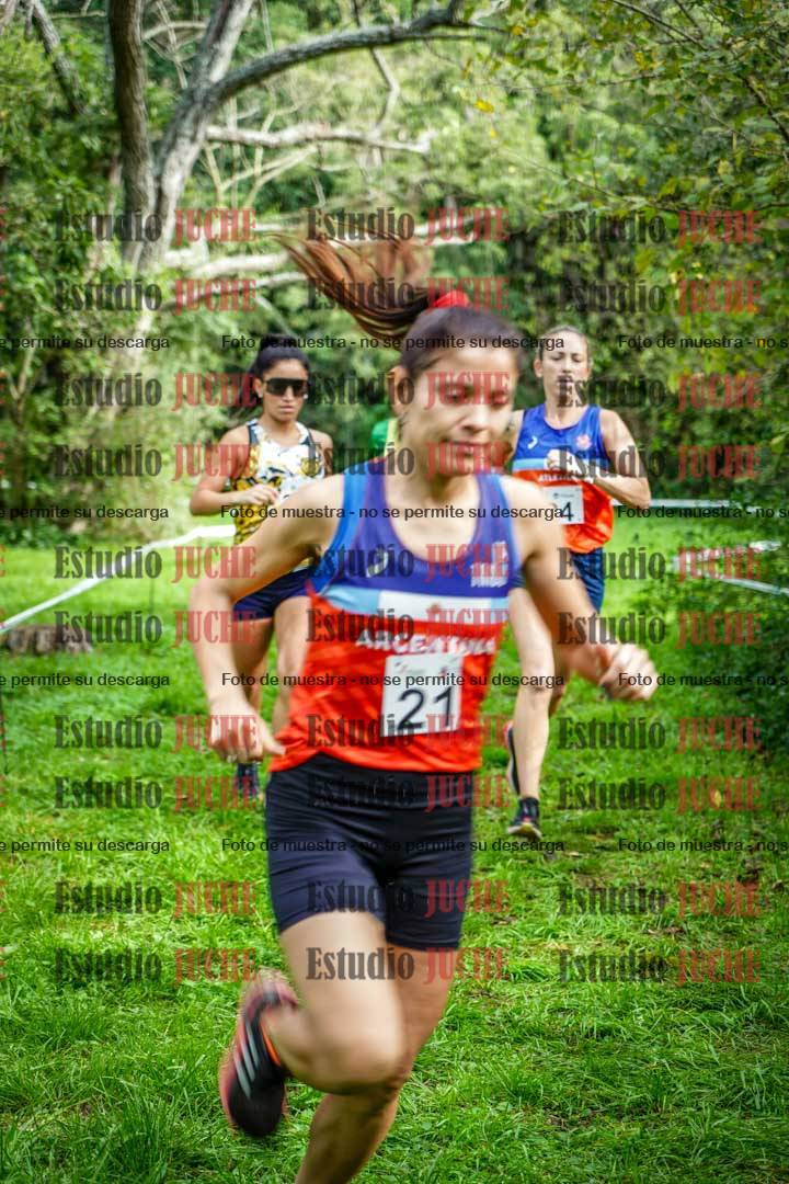 Fotos en el circuito