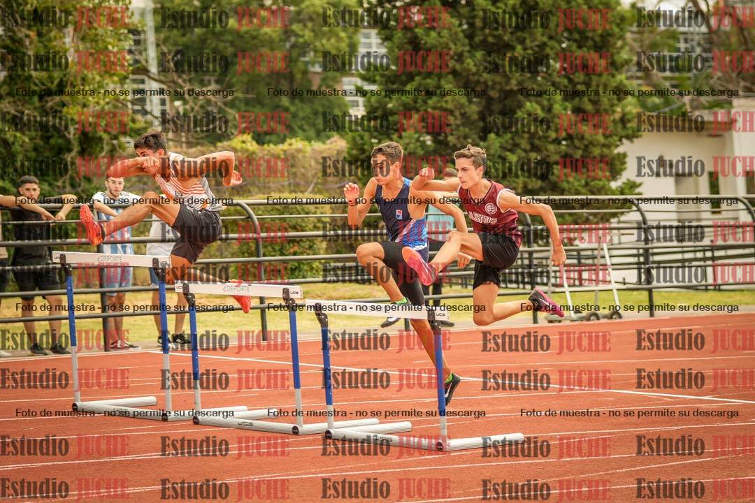 Fotos de los 110 m con vallas de varones
