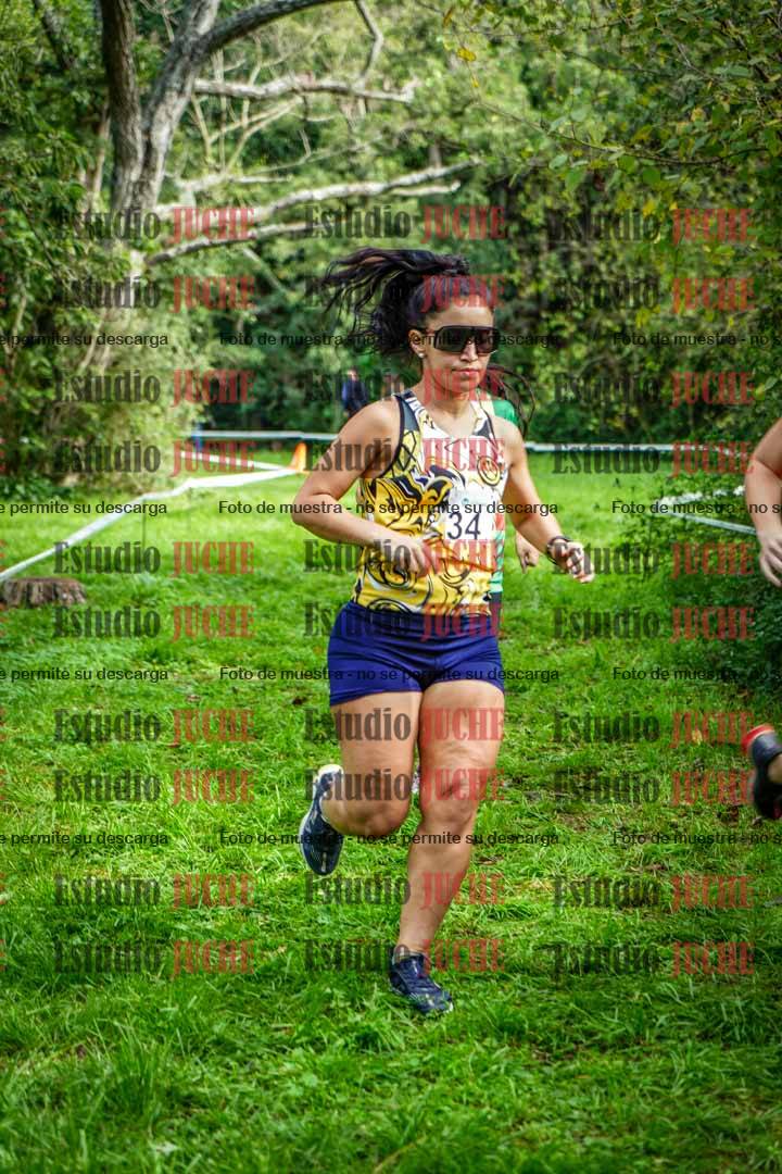 Fotos en el circuito