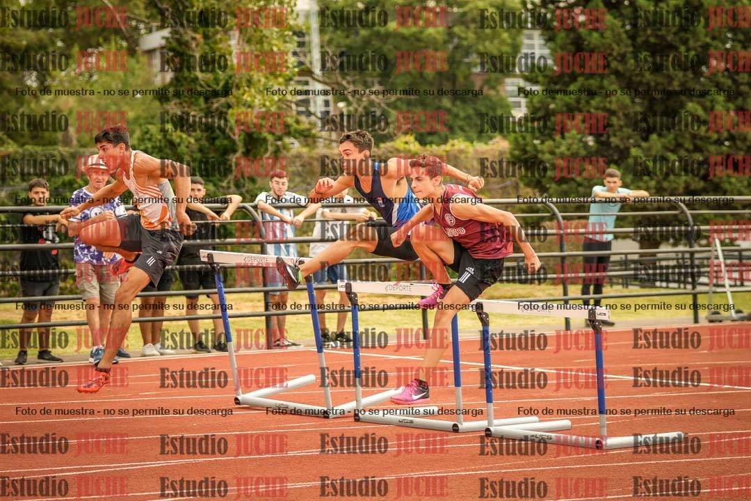 Fotos de los 110 m con vallas de varones