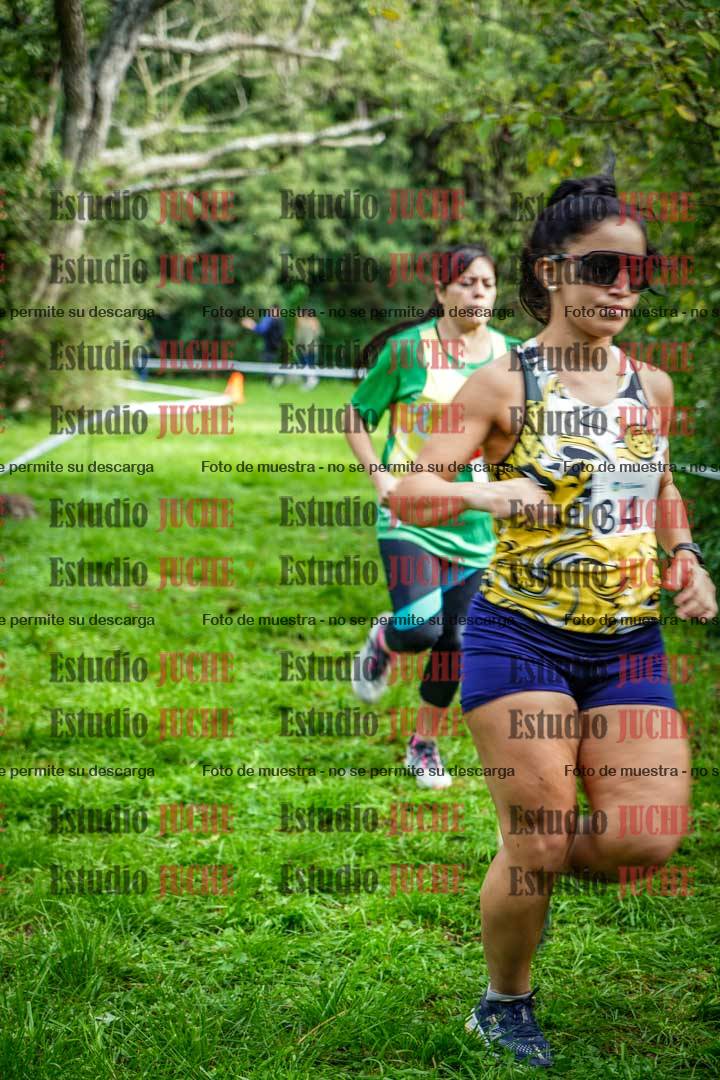 Fotos en el circuito