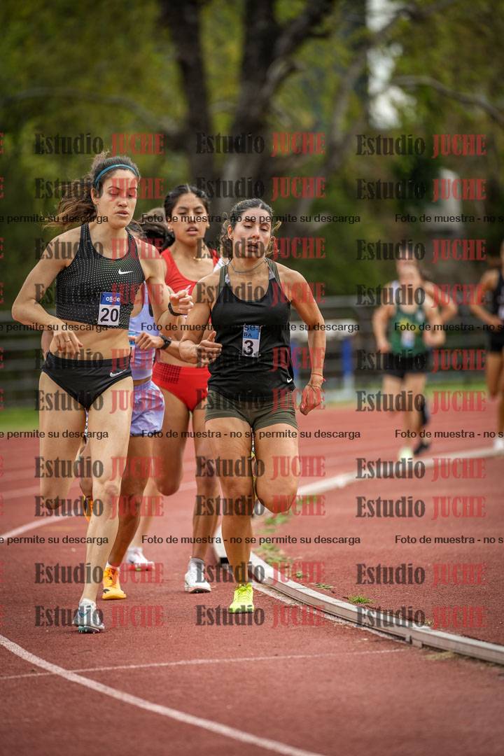 Fotos de los 1500 m llanos de mujeres