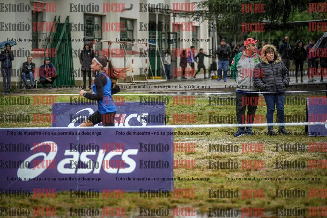Fotos en el circuito