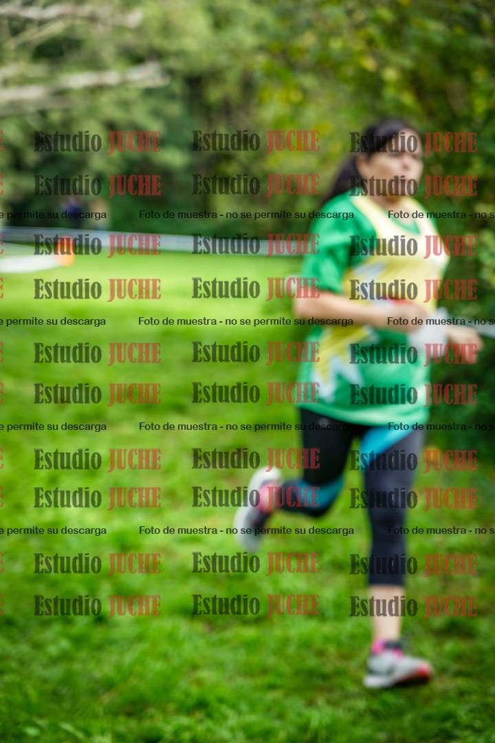 Fotos en el circuito