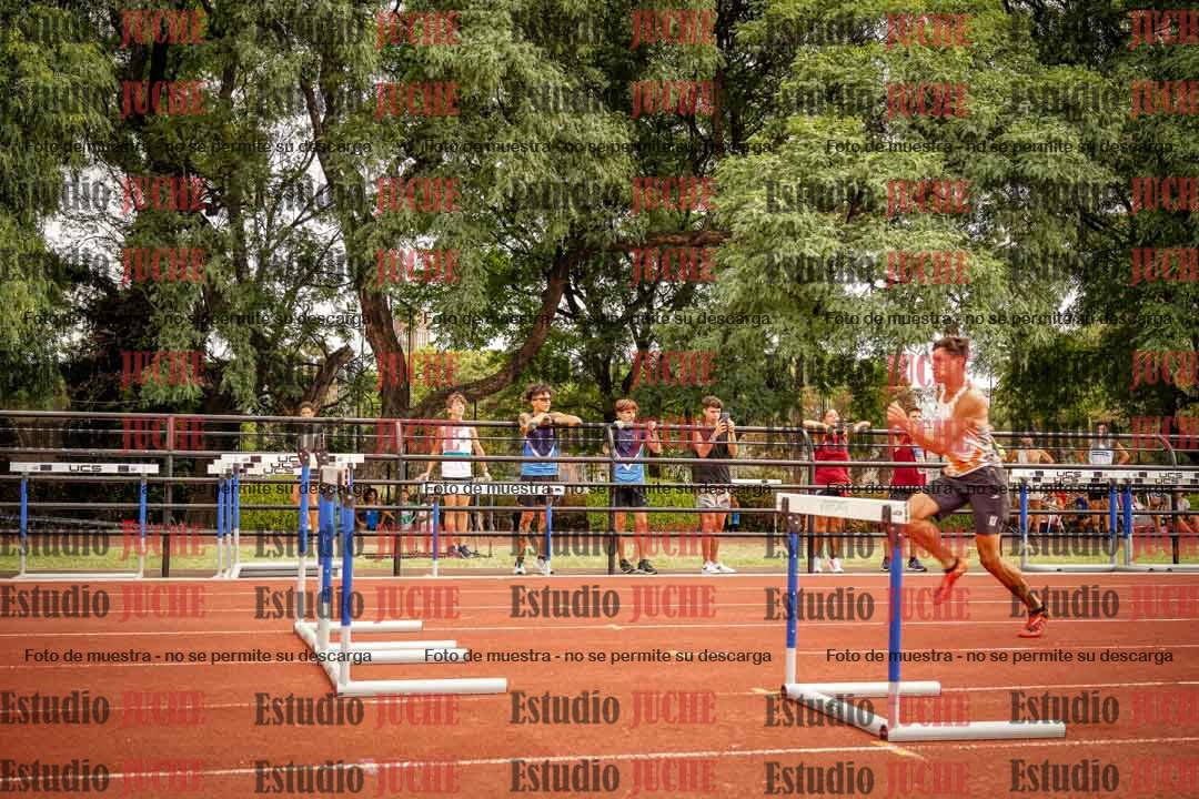 Fotos de los 110 m con vallas de varones