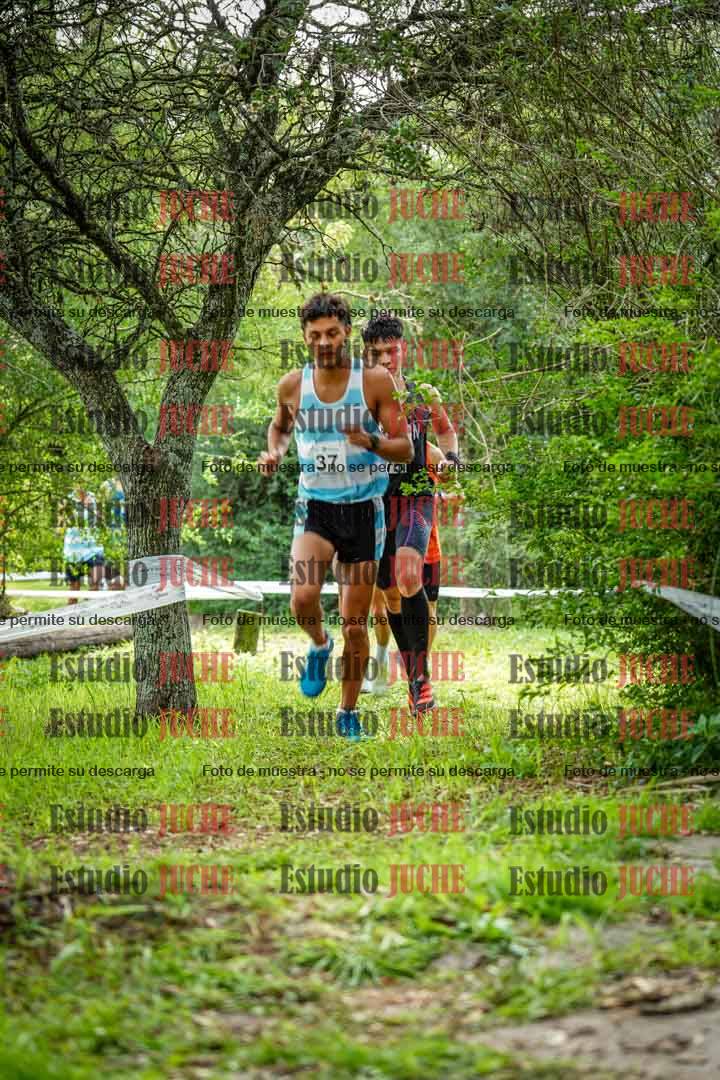 Fotos en el circuito