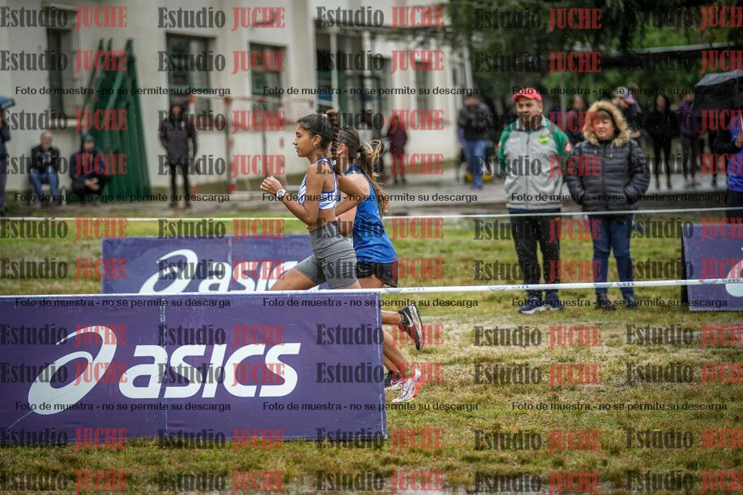 Fotos en el circuito