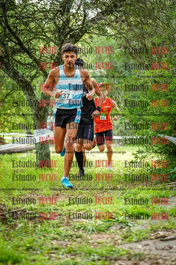 Fotos en el circuito