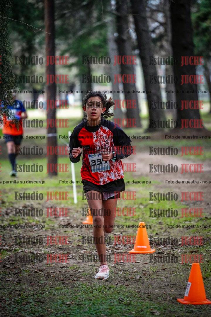 Fotos en el circuito