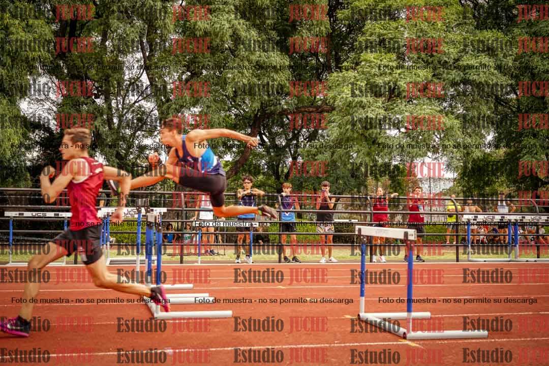 Fotos de los 110 m con vallas de varones