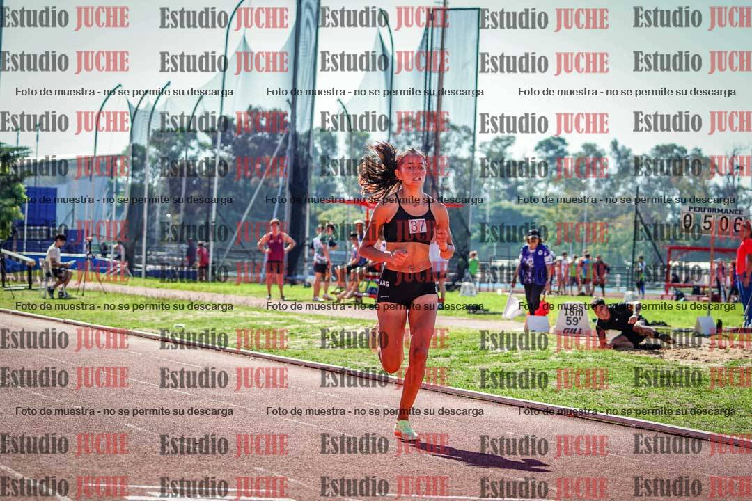 Fotos de los 800 m llanos de mujeres