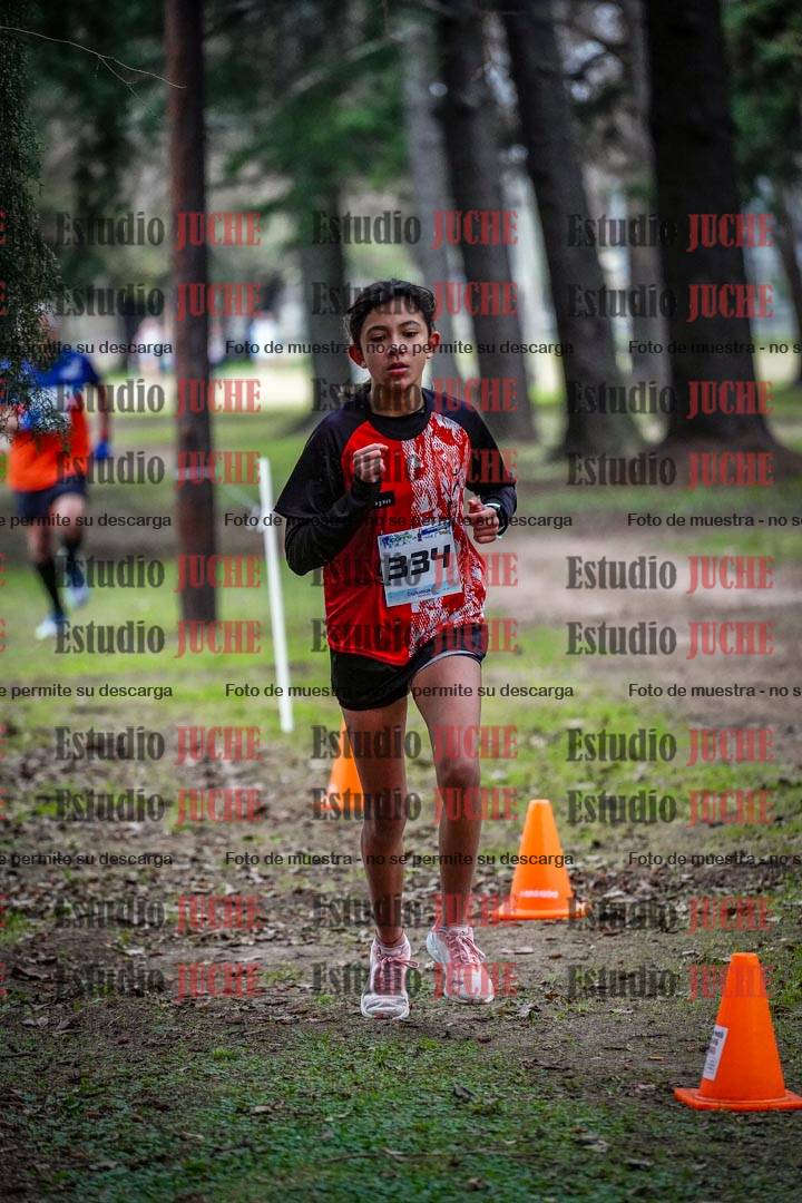 Fotos en el circuito