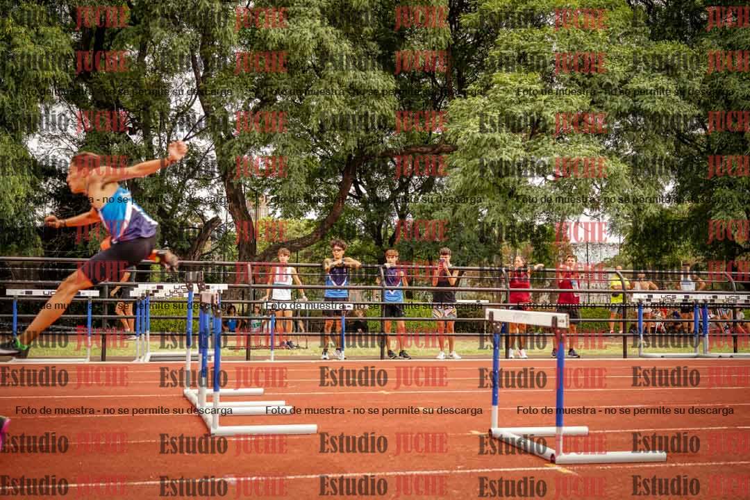 Fotos de los 110 m con vallas de varones