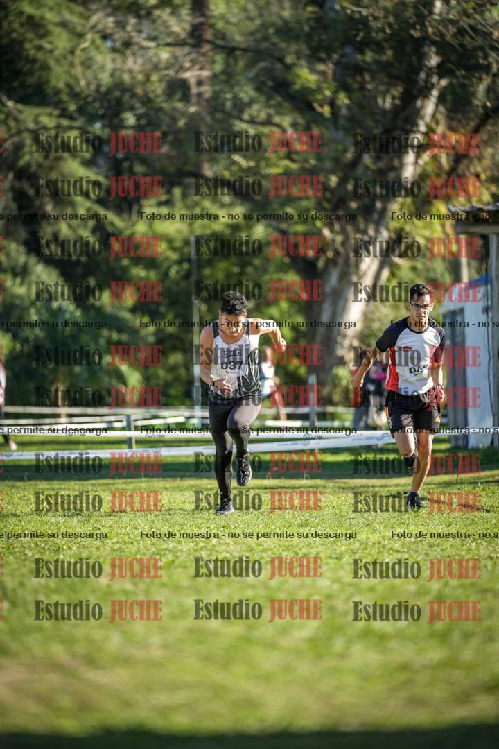 Fotos de la llegada del cross de 4000 m - varones