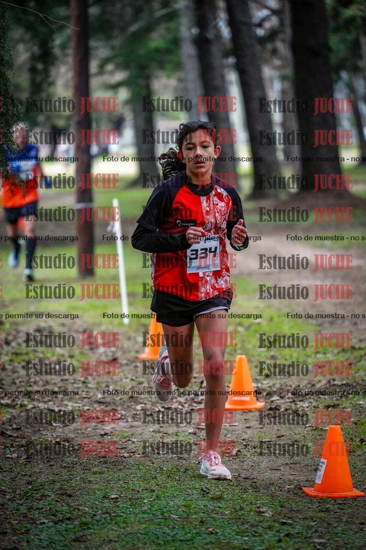 Fotos en el circuito