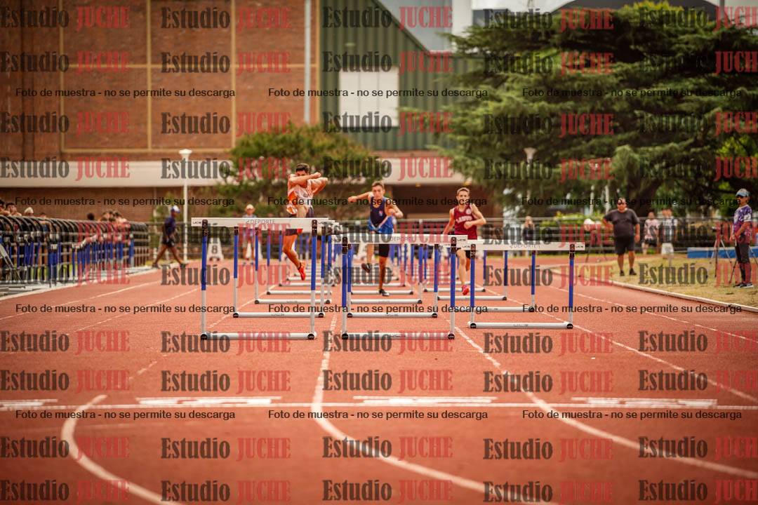 Fotos de los 110 m con vallas de varones