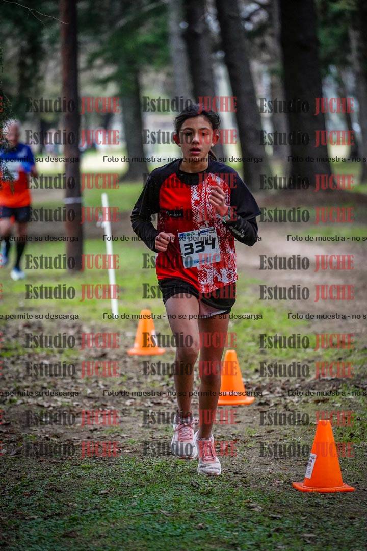 Fotos en el circuito