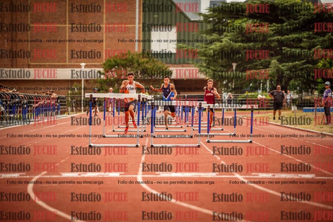 Fotos de los 110 m con vallas de varones