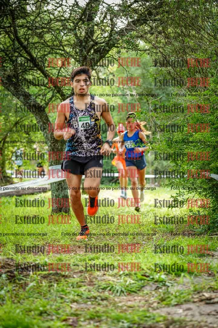 Fotos en el circuito