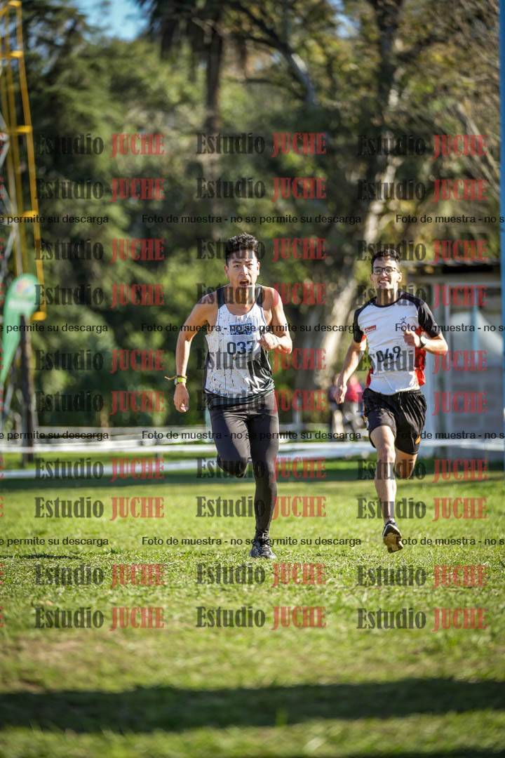 Fotos de la llegada del cross de 4000 m - varones