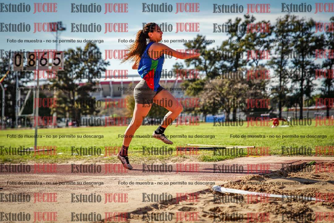 Fotos del salto triple - incluye todas las tablas