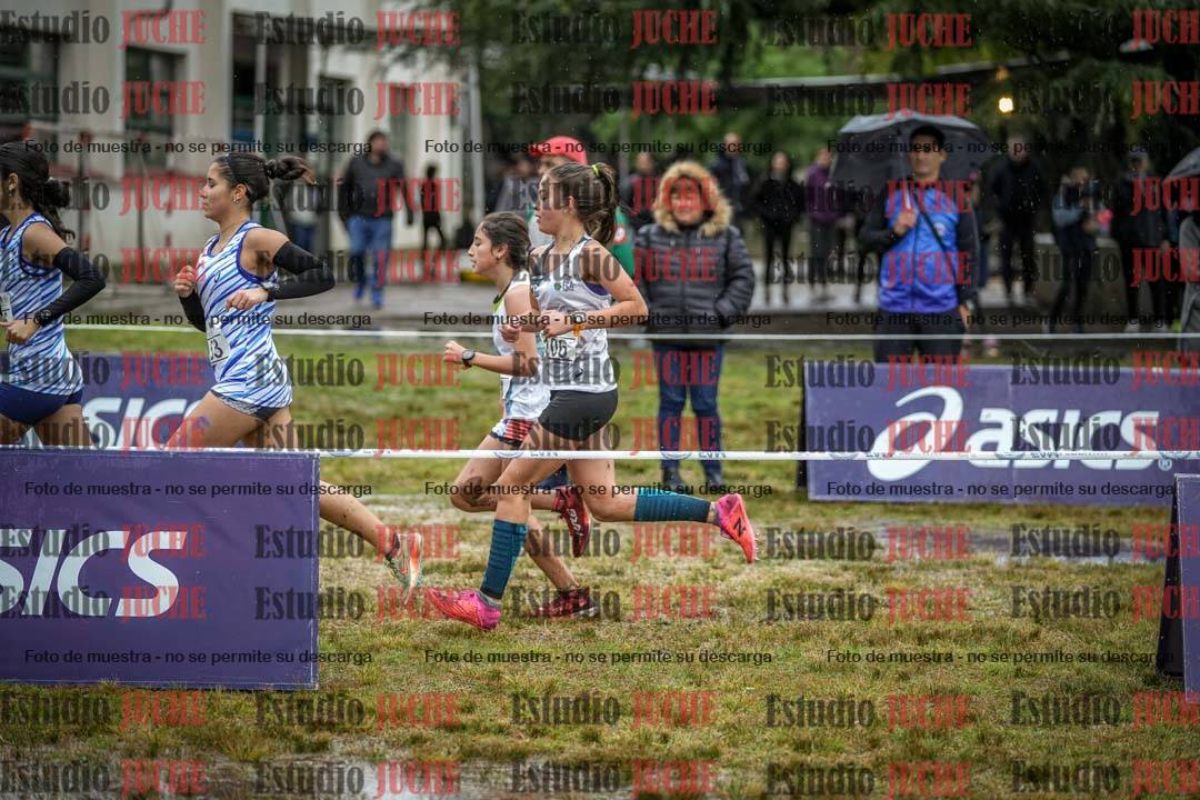 Fotos en el circuito