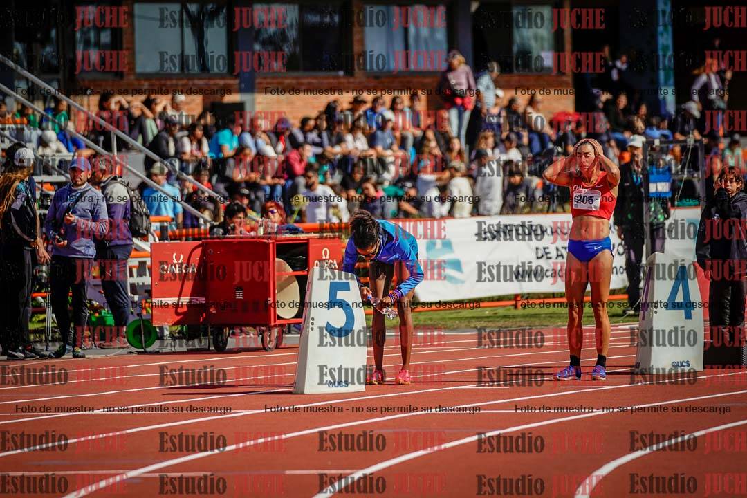 Fotos de los 800 m llanos de mujeres - FINAL