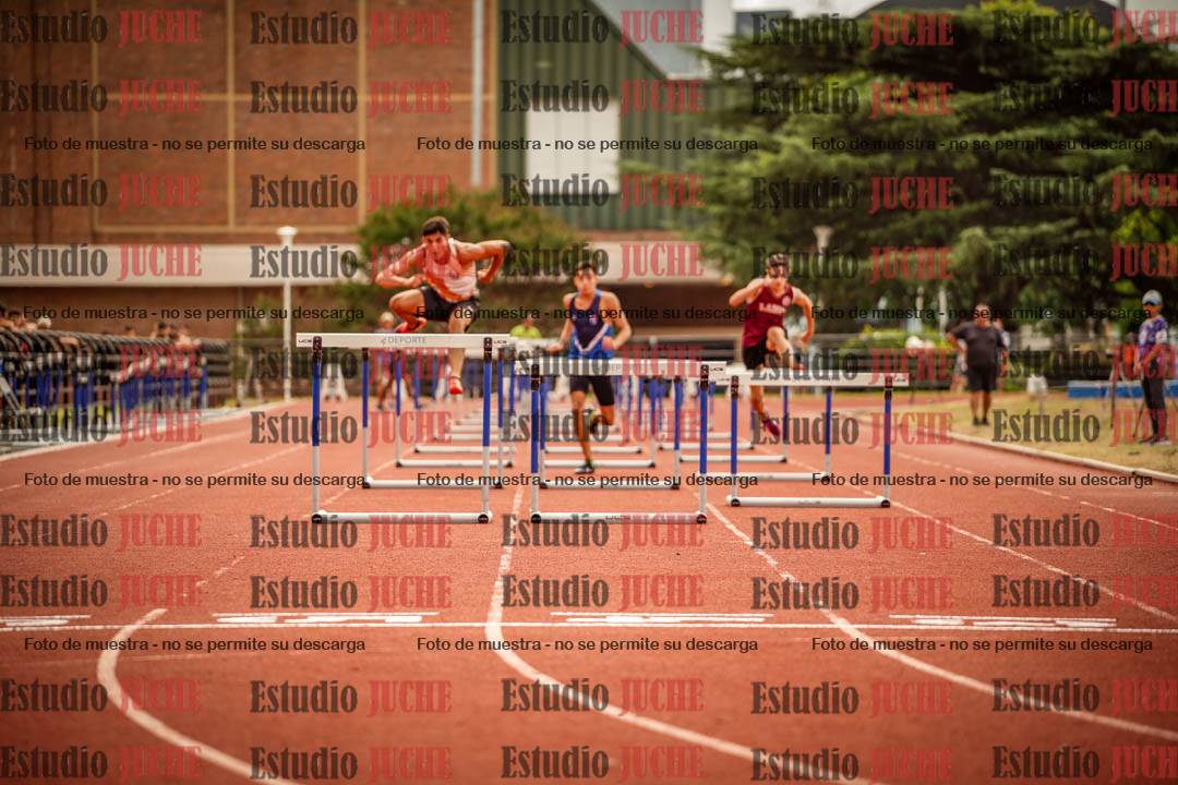 Fotos de los 110 m con vallas de varones
