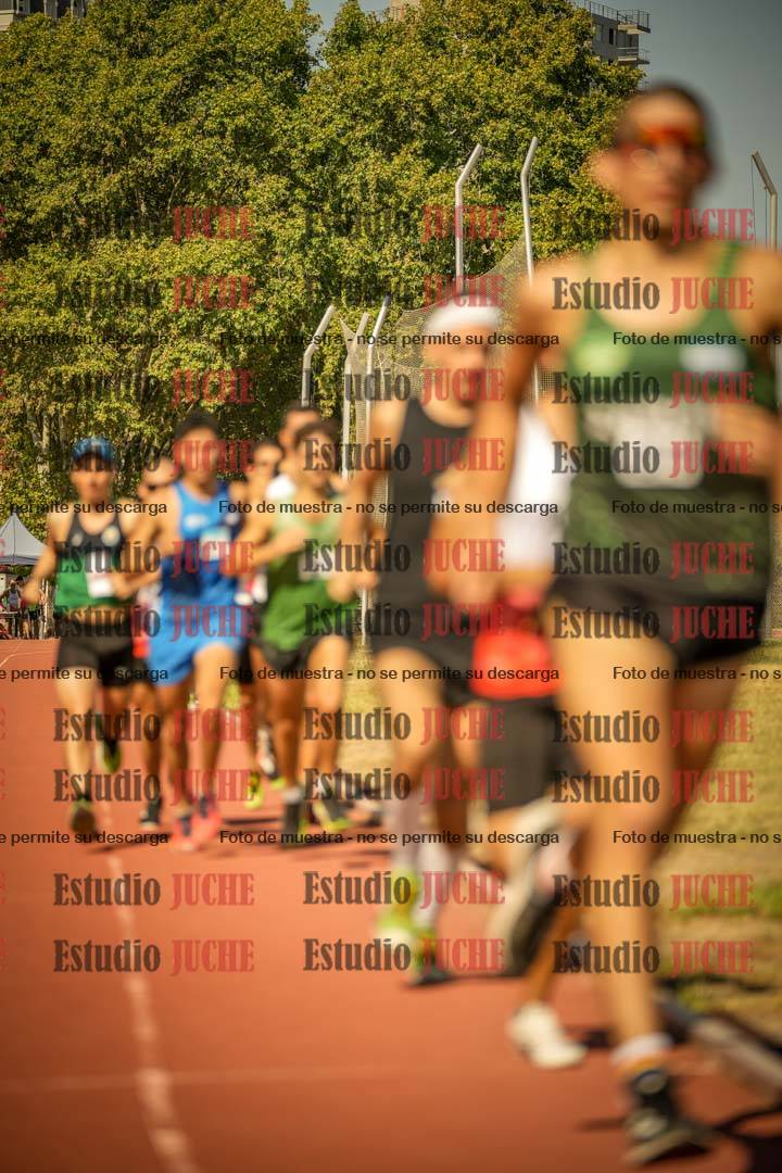 Fotos de los 3000 m llanos de varones