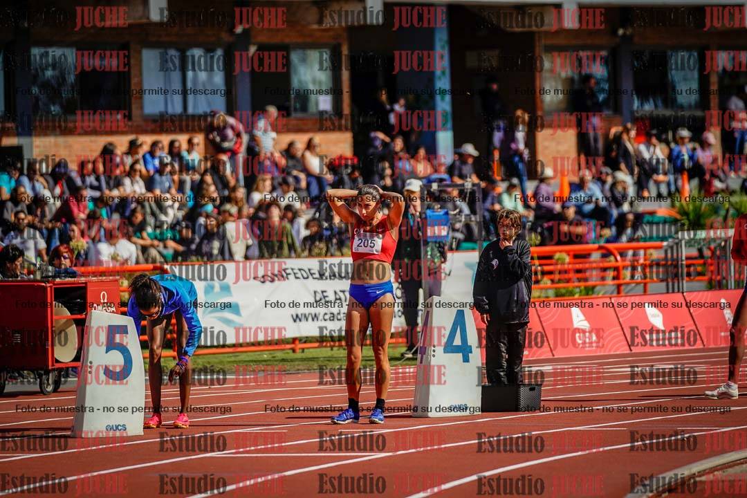Fotos de los 800 m llanos de mujeres - FINAL