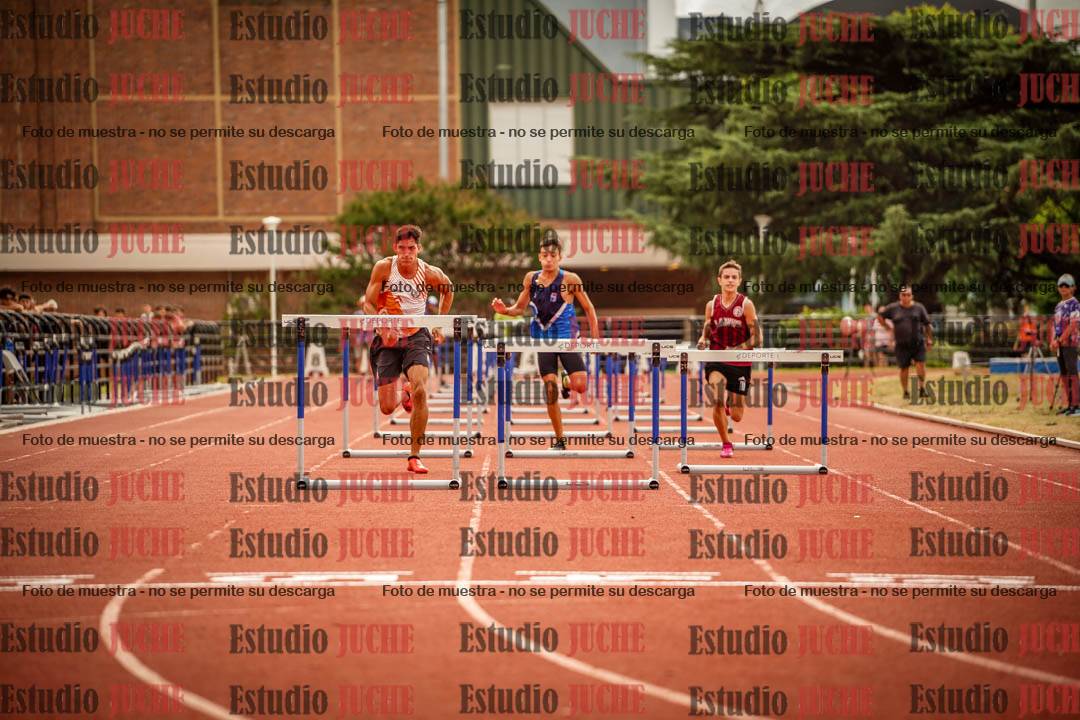 Fotos de los 110 m con vallas de varones
