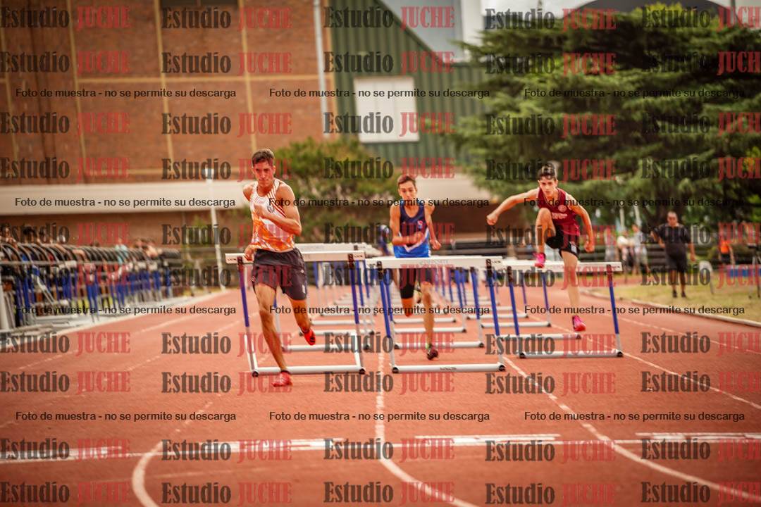 Fotos de los 110 m con vallas de varones