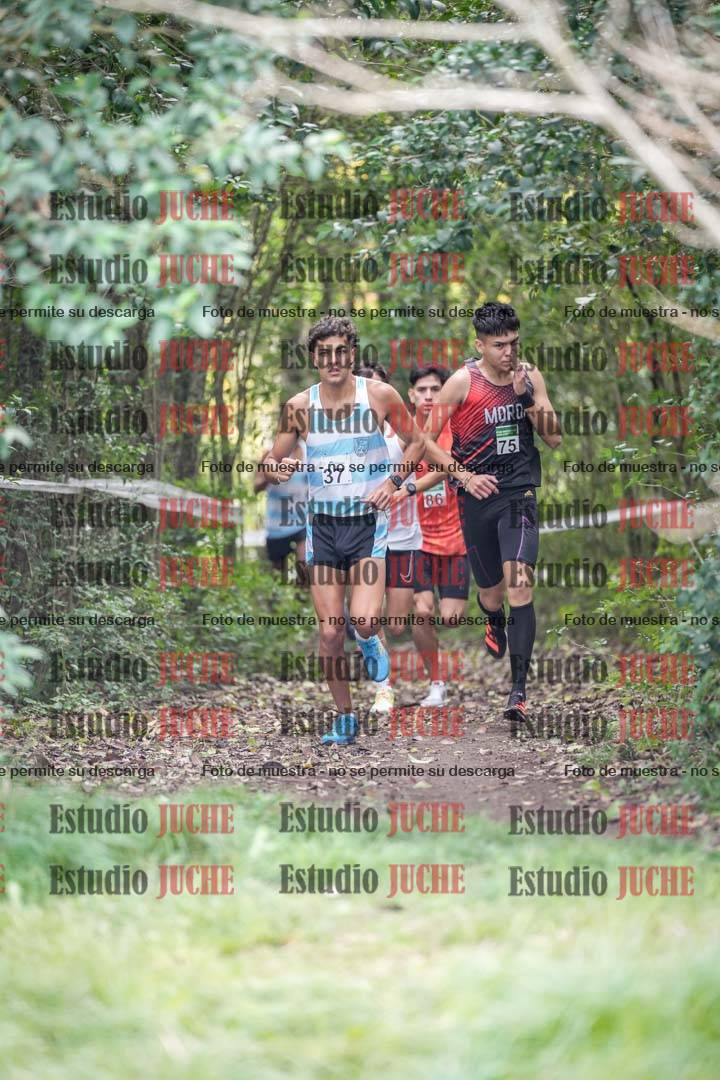 Fotos en el circuito