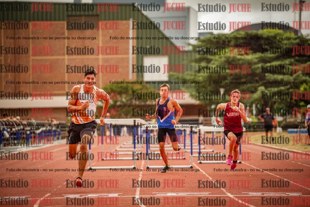 Fotos de los 110 m con vallas de varones