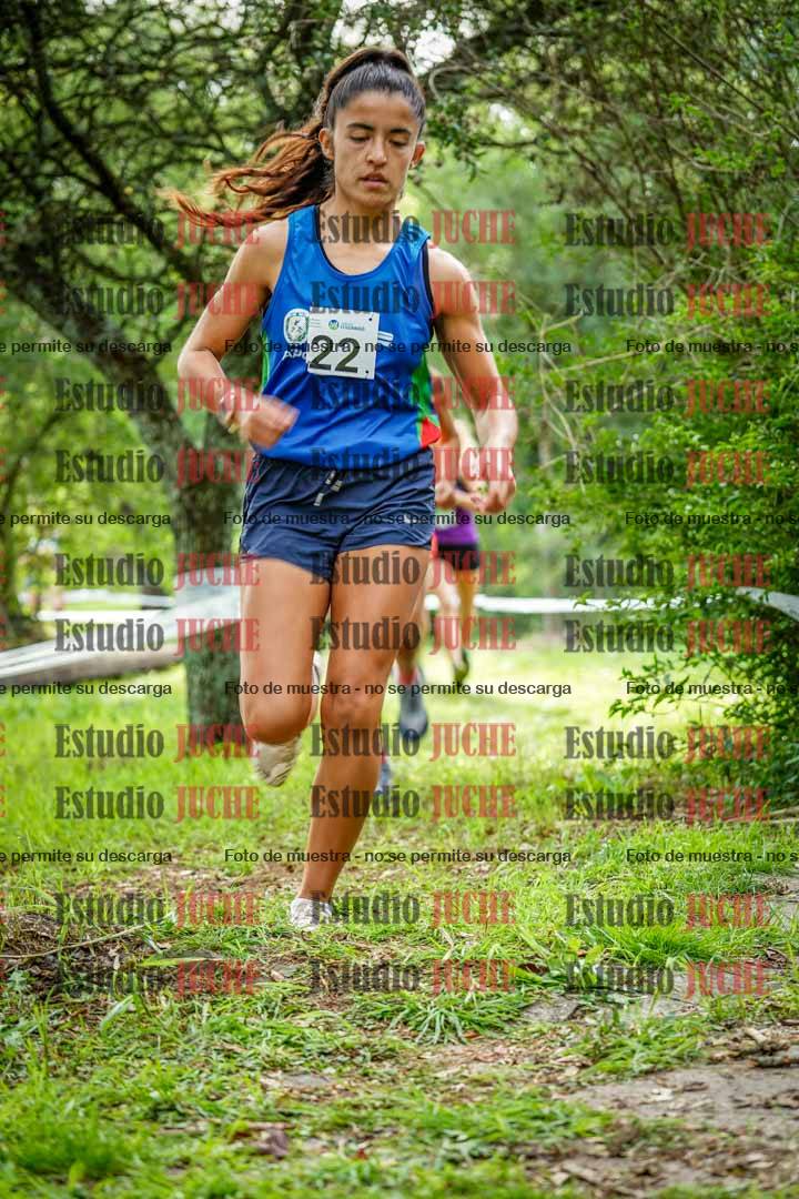 Fotos en el circuito