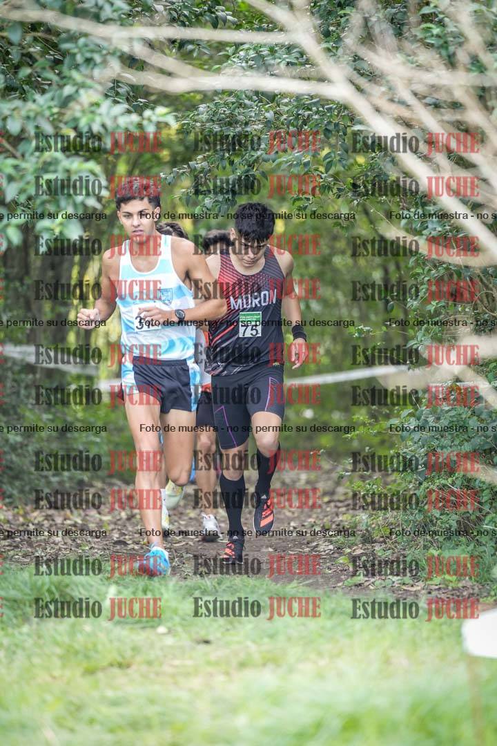 Fotos en el circuito