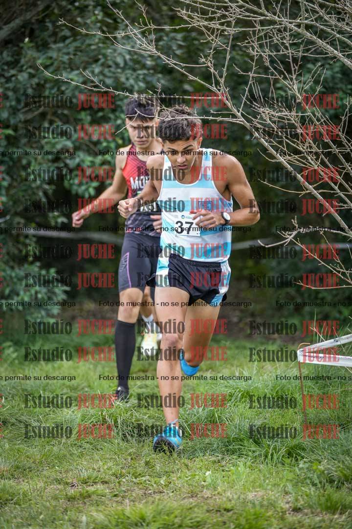 Fotos en el circuito