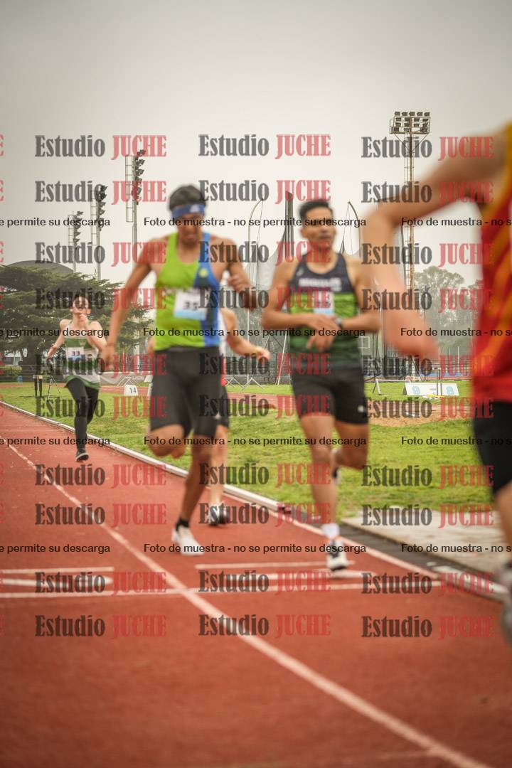 Fotos de los 800 m llanos de varones