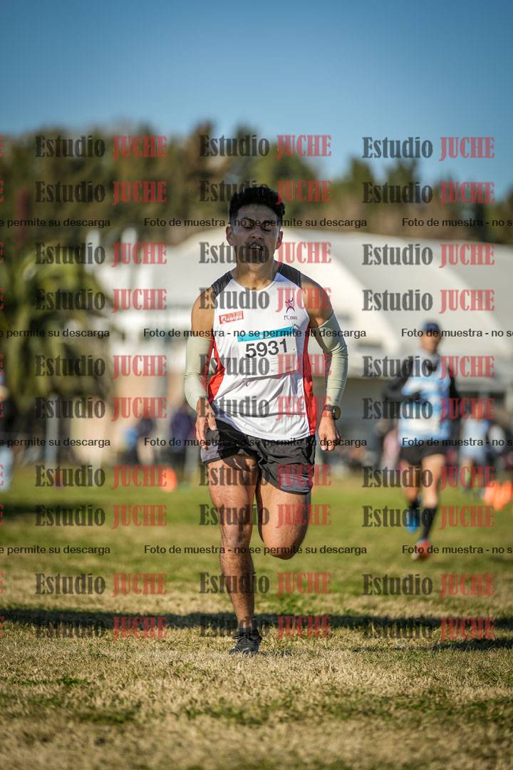 Fotos de las llegadas
