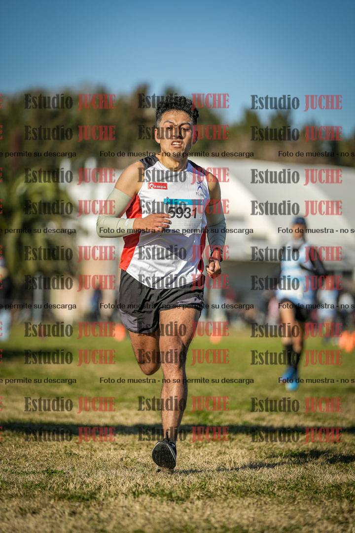 Fotos de las llegadas